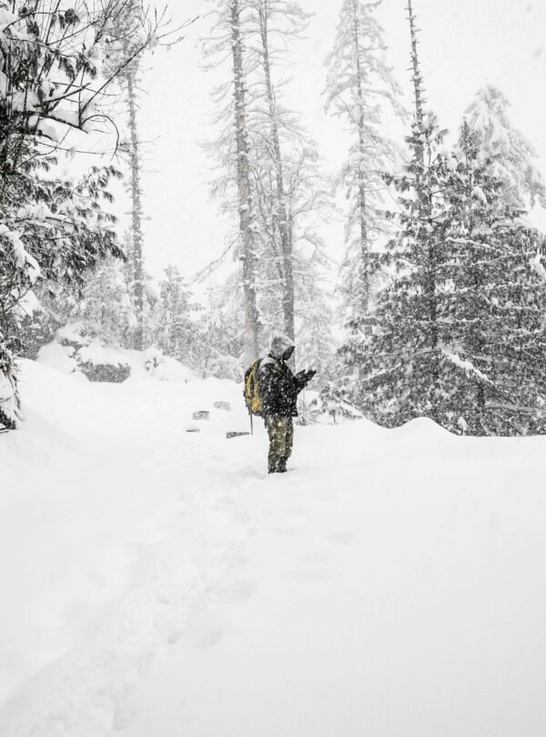 Shimla Manali tour package