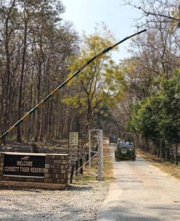 Nainital Tour Package 2 nights 3 days