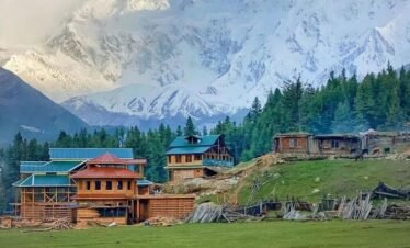 f942d52777d65fca48dd71af7e62c949