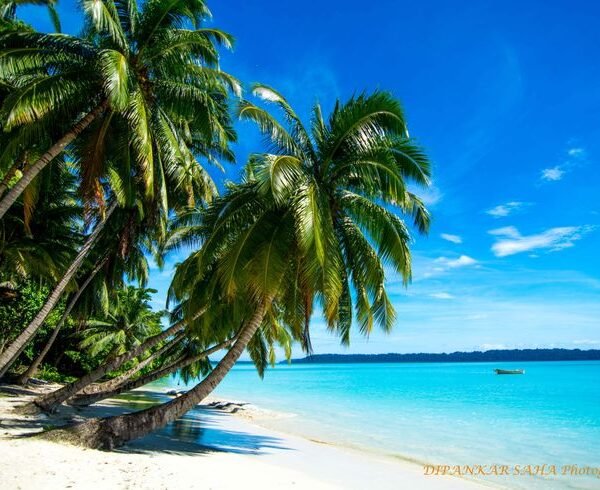 Andaman 7 Day Tour Package