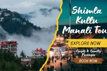 Shimla Kullu Manali Tour